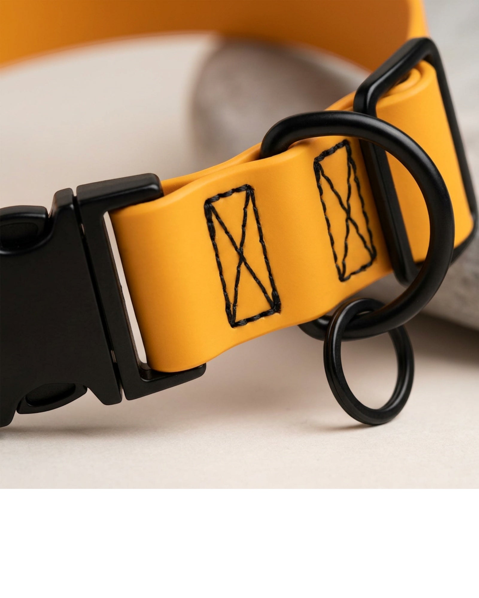 Staen TPU-Coated Webbing Dog Collar 32-50 cm Marigold - Detail view