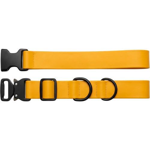 Staen TPU-Coated Webbing Dog Collar 32-50 cm Marigold - Product view