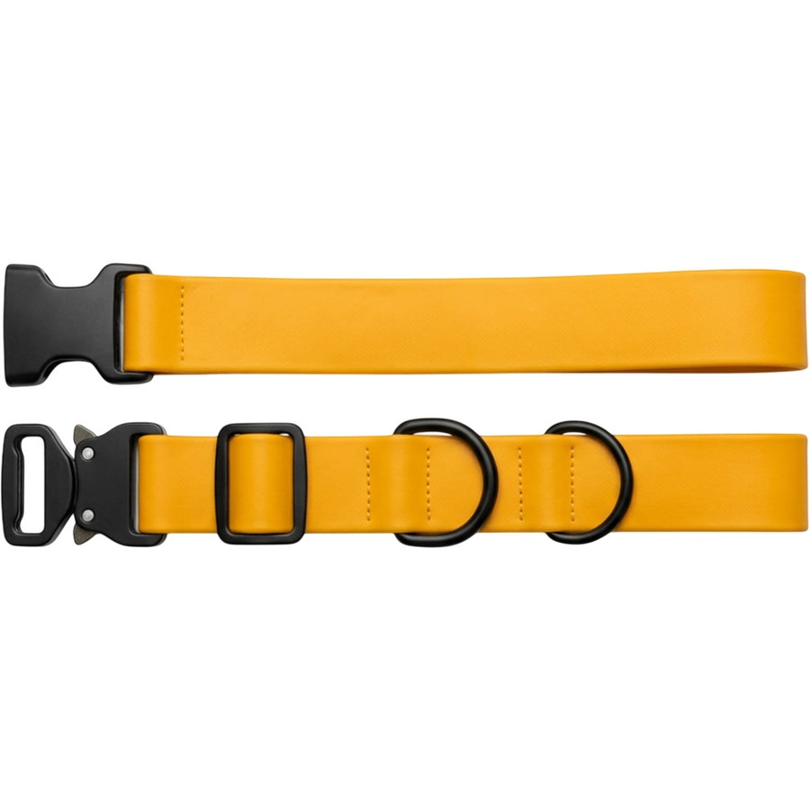 Staen TPU-Coated Webbing Dog Collar 32-50 cm Marigold