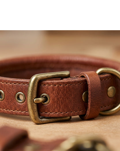 Staen Rolled Leather Dog Collar 35-47 cm Chestnut - Detail view