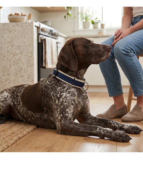 Staen Woven Limited-Slip Dog Collar 40-58 cm Navy and Cream - Lifestyle view